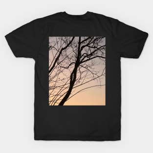 bare branch of tree after sunset T-Shirt